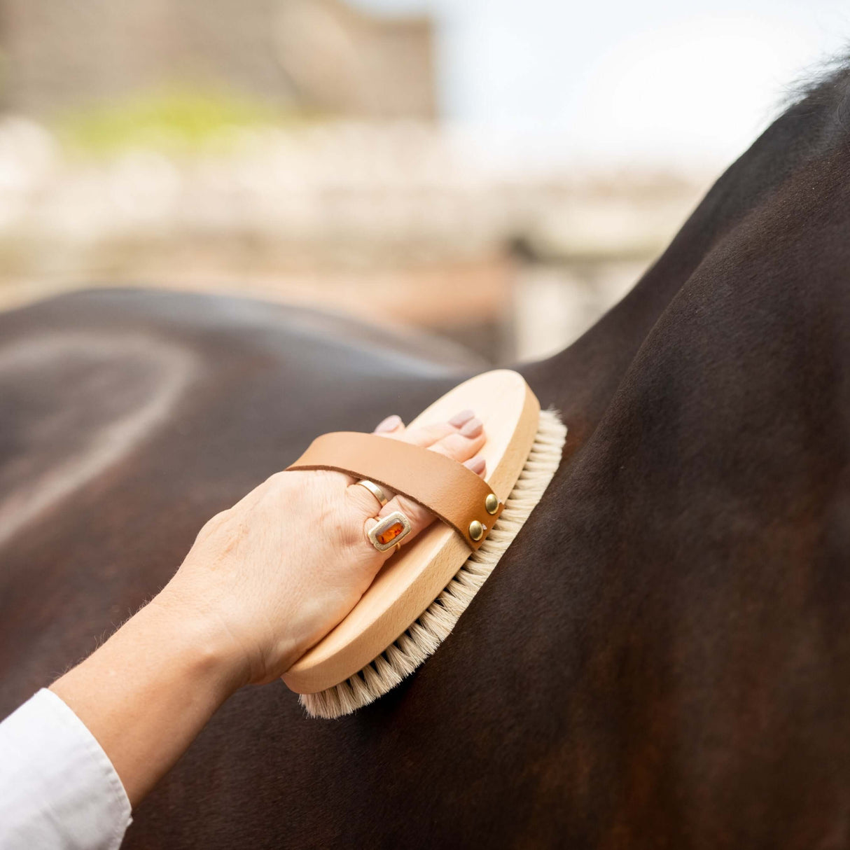 Borstiq Natural Body Brushes