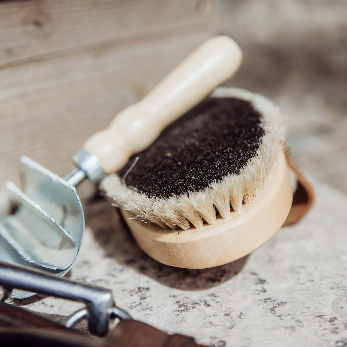 Borstiq Natural Body Brushes