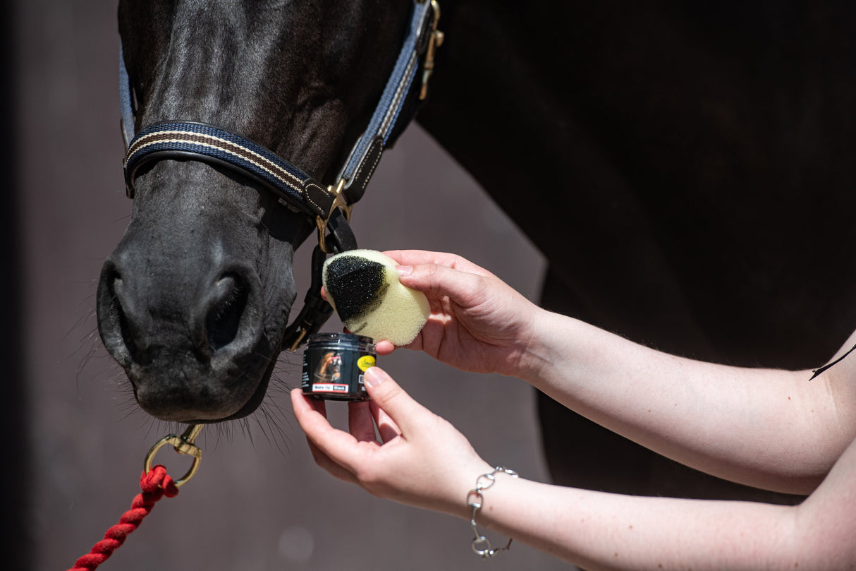 Smart Grooming - Make Up Sponge