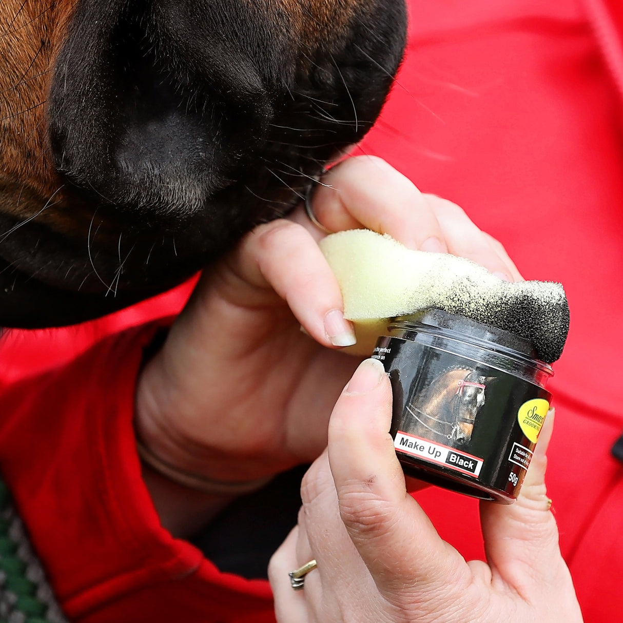 Smart Grooming - Make Up Sponge