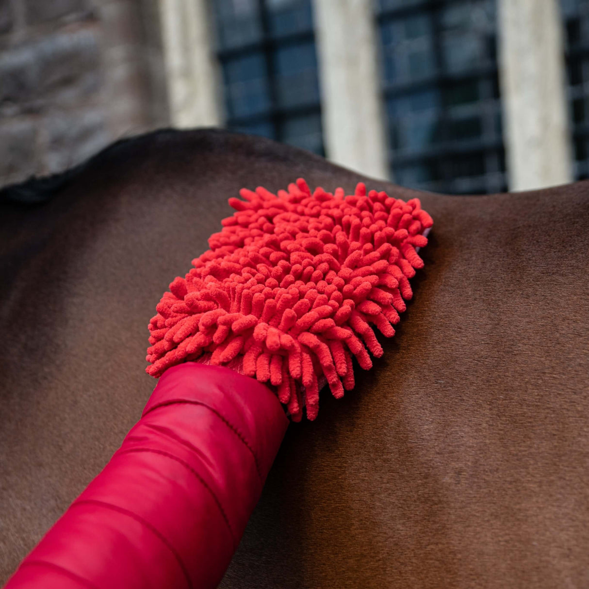 Smart Grooming Microfibre Grooming Mitt