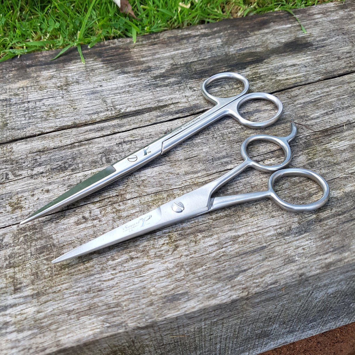 Smart Grooming 6"/15.5cm Pointed Scissors