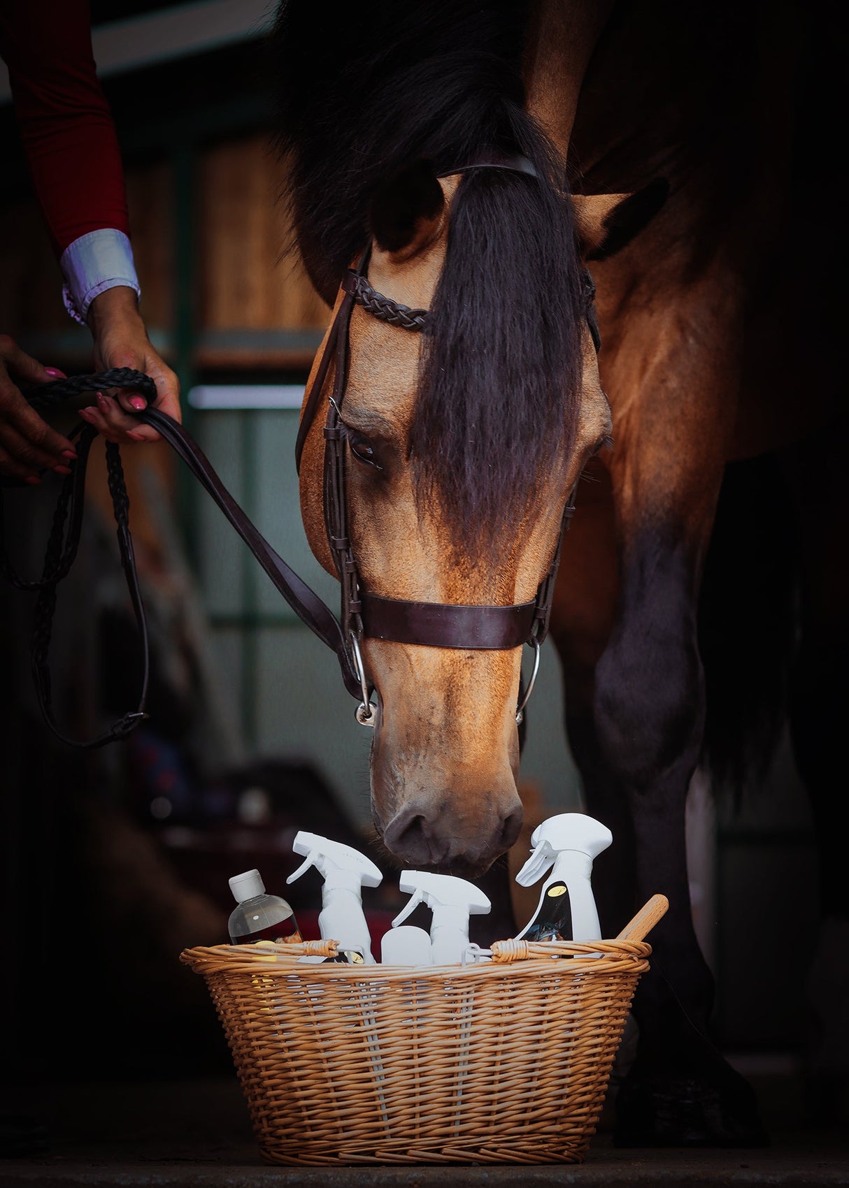 Smart Grooming -Wicker Show Basket