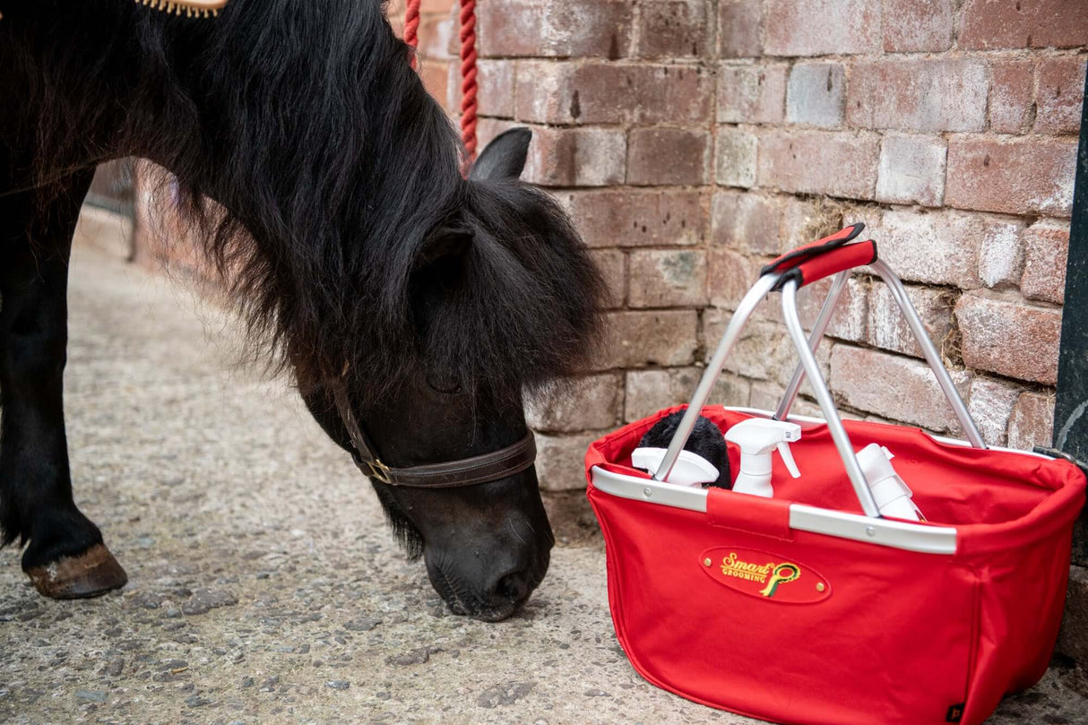 The Show Ring Basket