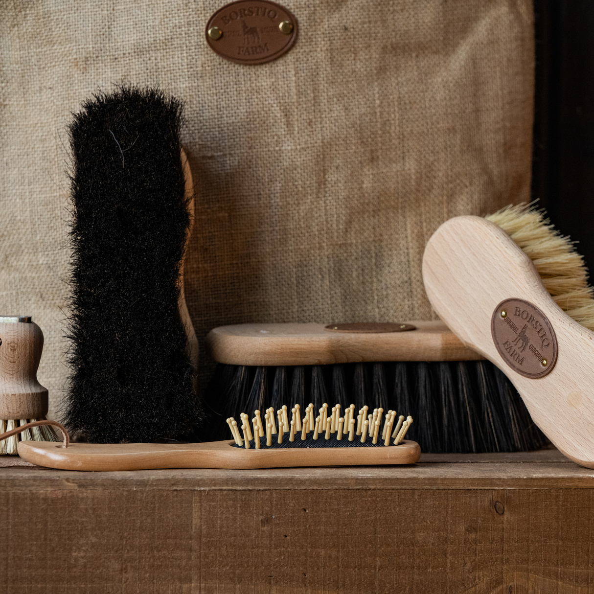 Borstiq Natural Shaped Brush Kit