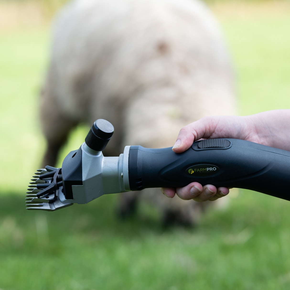 Farm Pro Sheep Shear
