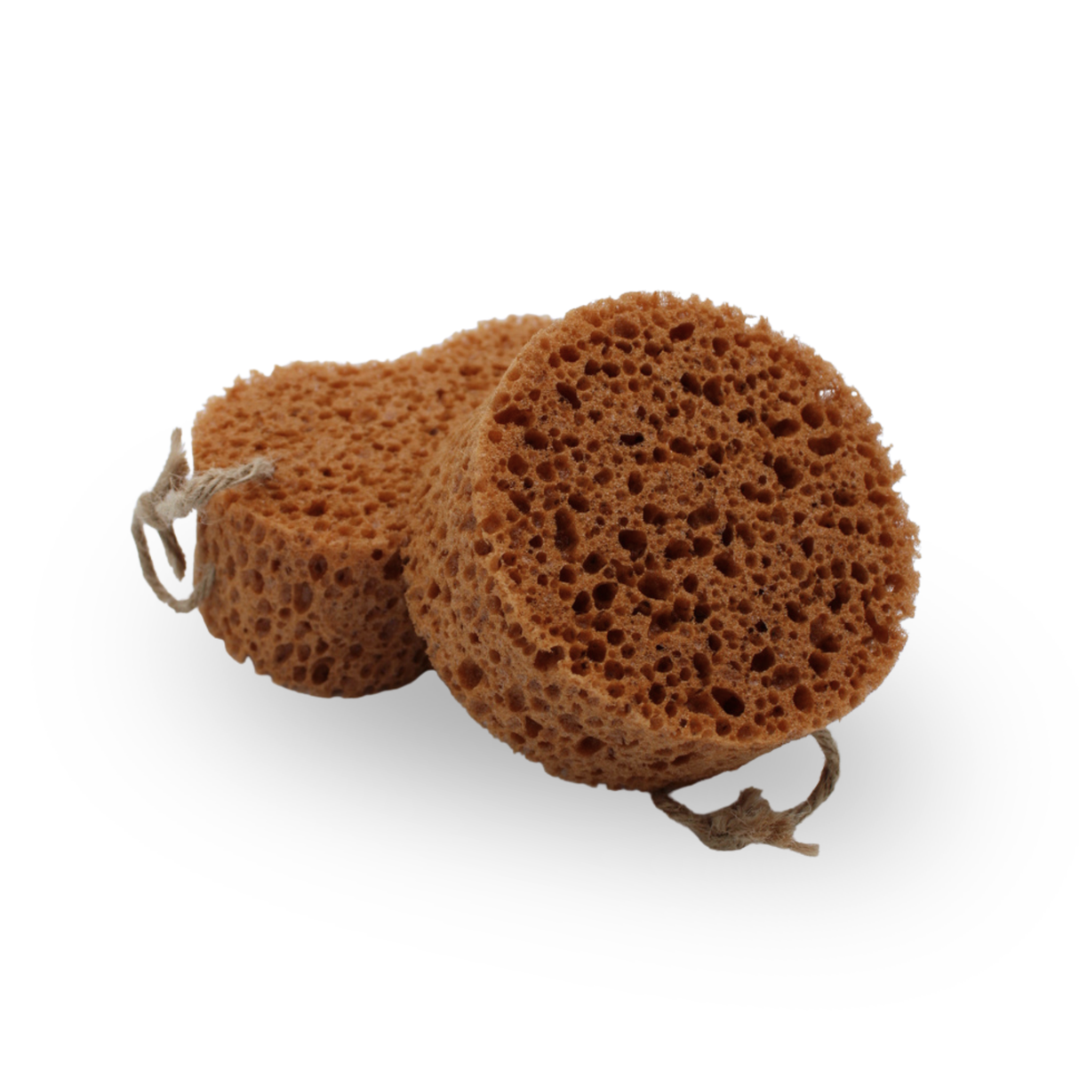 Borstiq Sponge