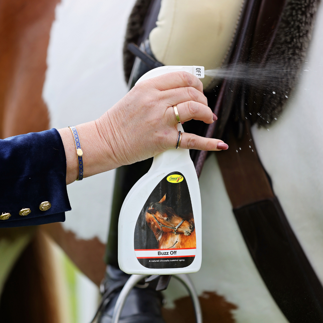 Spray d'été Buzz Off Smart Grooming