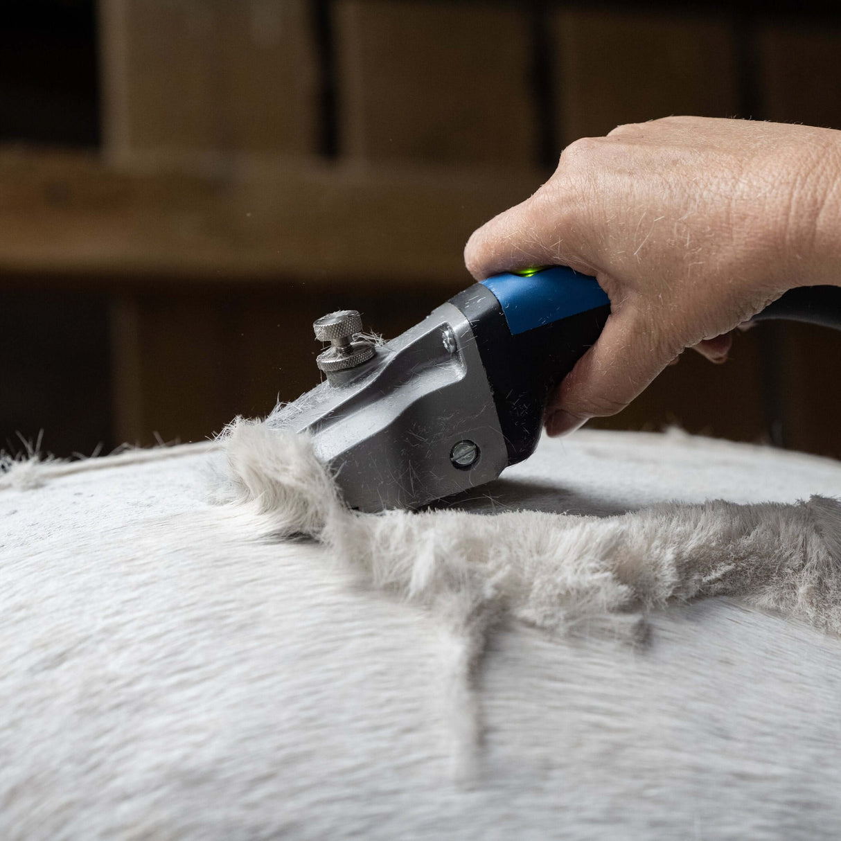 Tondeuse à chevaux Aesculap Bonum