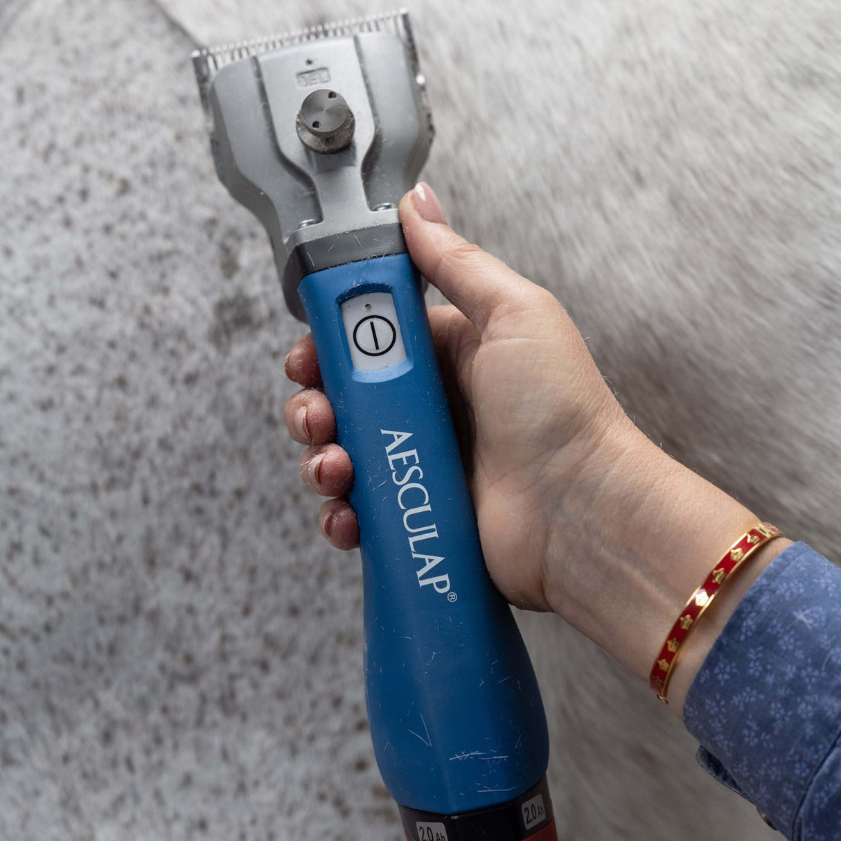 Tondeuse à chevaux Aesculap Bonum