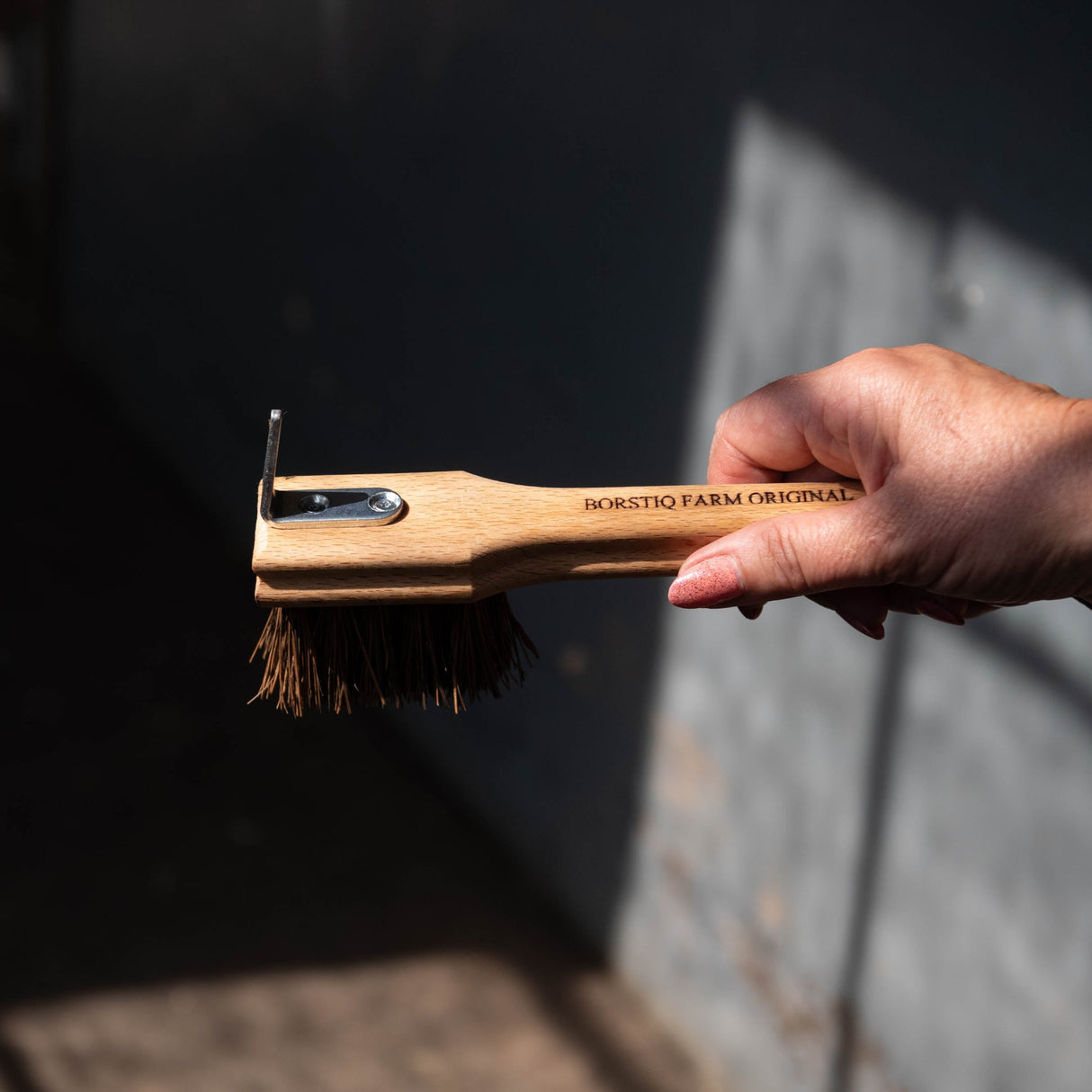 Borstiq Hoof Pick