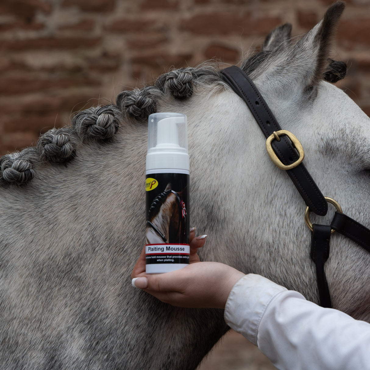 Smart Grooming Plaiting Mousse