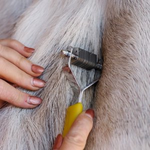 Smart Grooming Mane and Tail Rakes