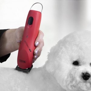 Veterinary Clippers