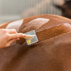 Smart Grooming Quarter Marking / Velcro Brush
