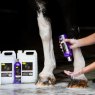 Smart Grooming Smart Grooming Lavender Shampoo