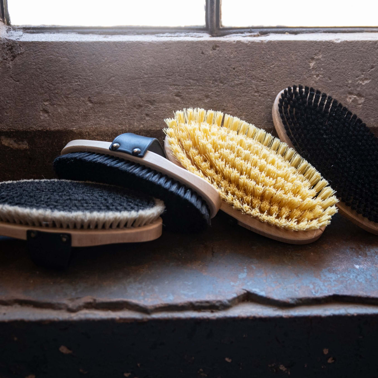 HAAS Body Brushes for Horses