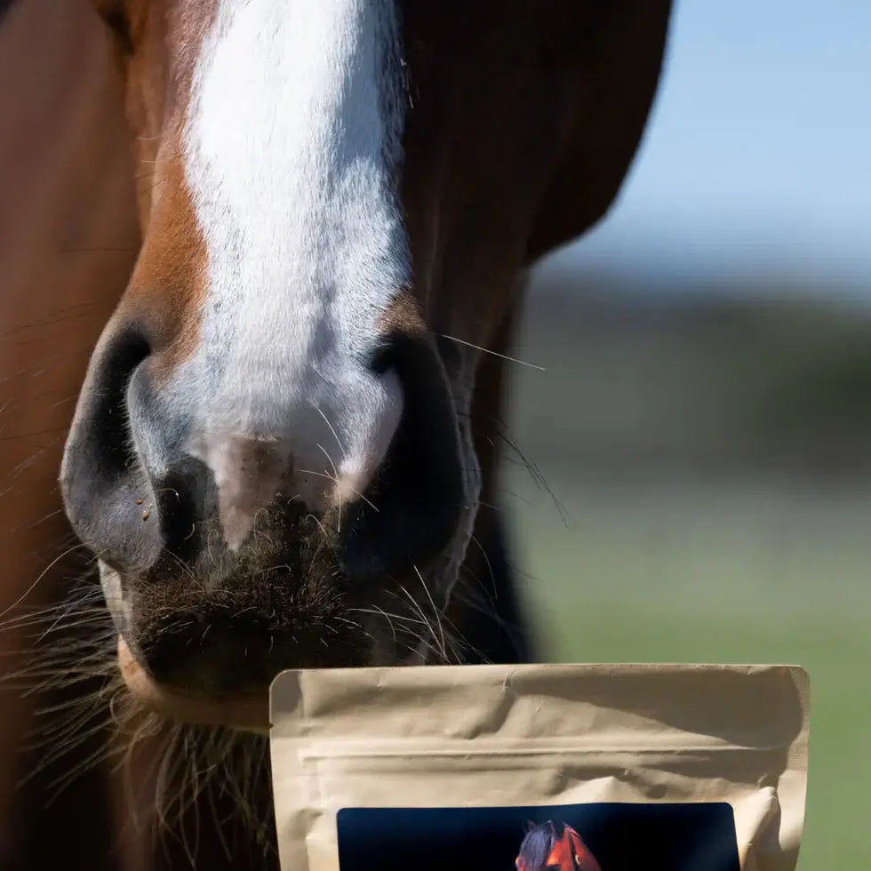 Supplements & Treats