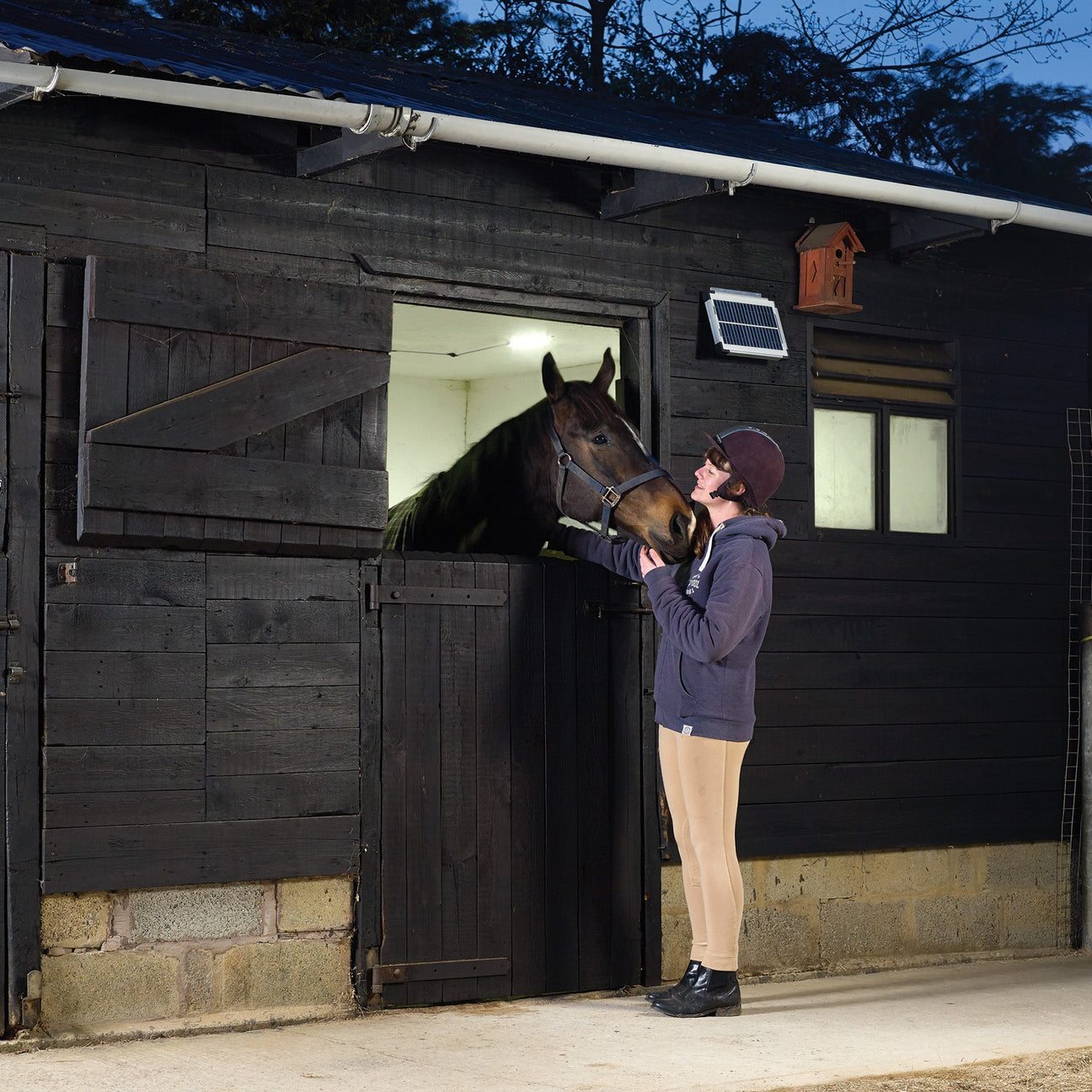 Solar Lighting for Large Stable Blocks & Farmyards
