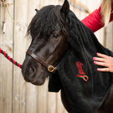Smart Grooming Trockentuch