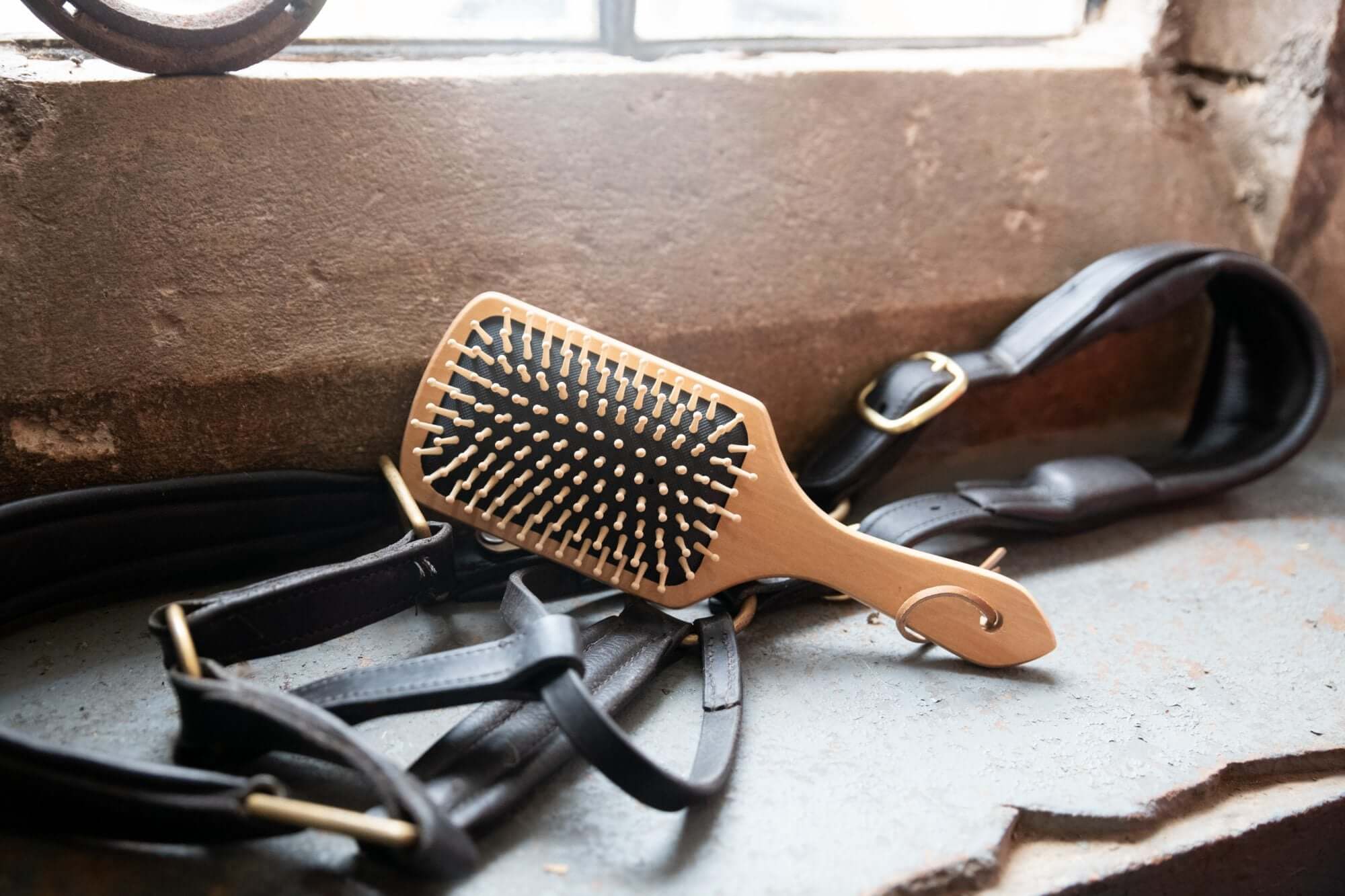 Horse Brushes | Body Brushes, Flick & Dandy Brushes