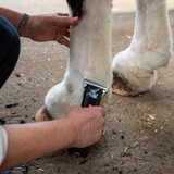Heiniger Saphir Horse Clipper