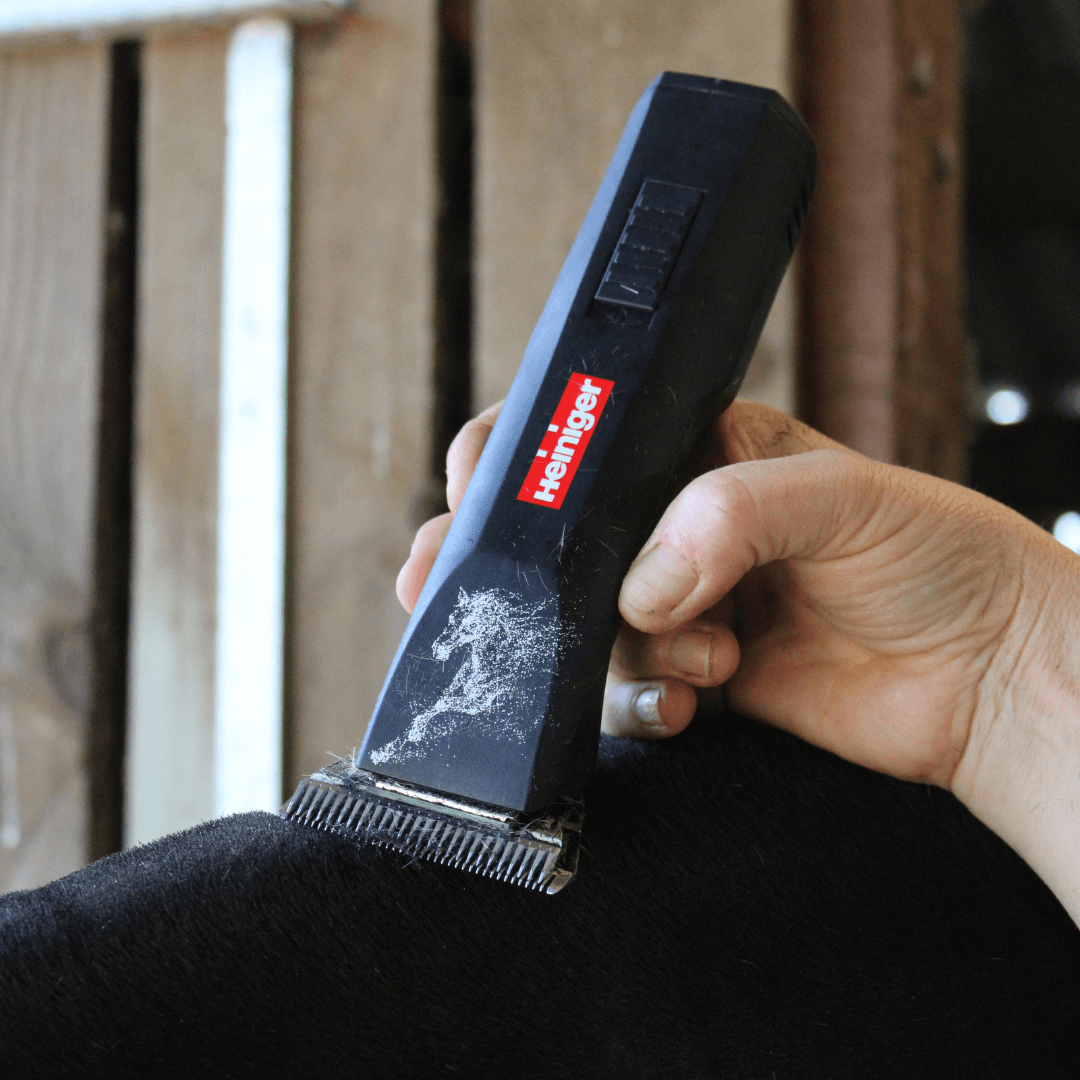 Heiniger Saphir Horse Clipper | Powerful A5 Horse Clippers Heiniger Saphir Horse Clipper | Powerful A5 Horse Clippers