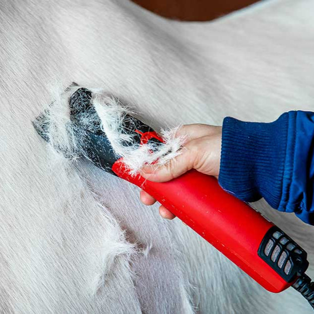 Lister Fusion Horse & Cattle Clipper – Dual Speed 360W Professional