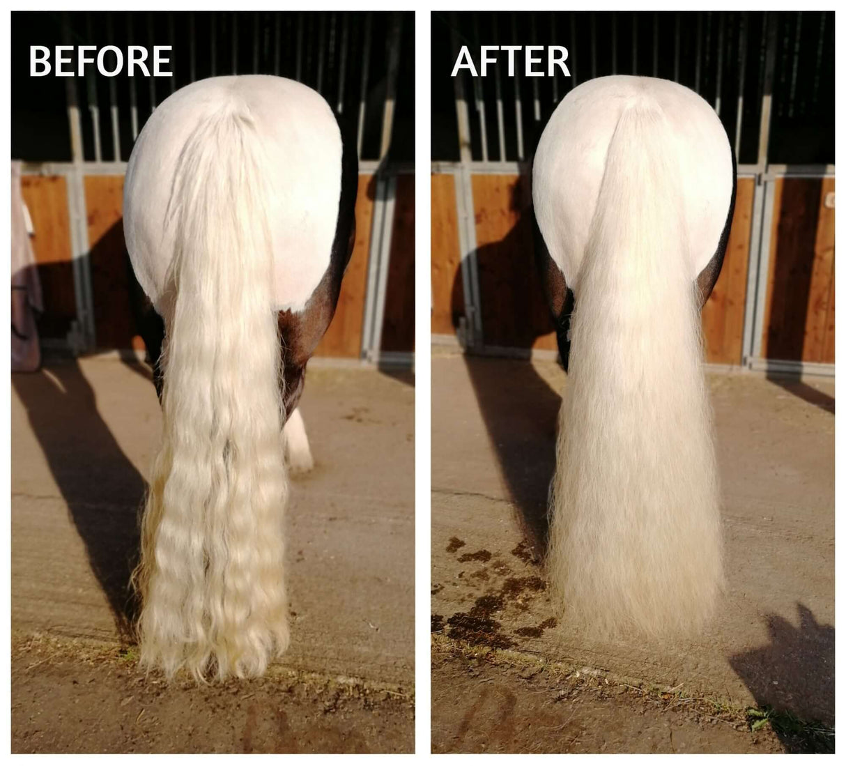 Smart Grooming Tame The Mane Conditioner and Detangler