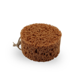 Borstiq Sponge