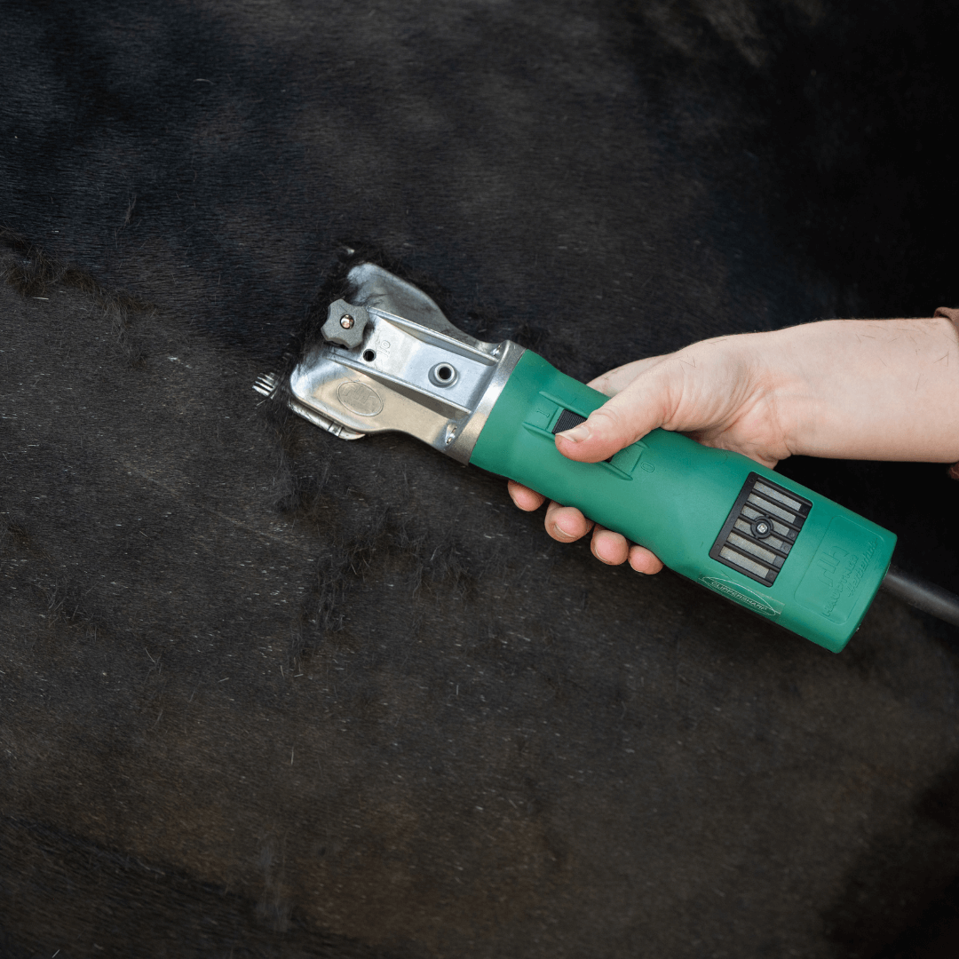 Sharp Cliper Clippersharp Hauptner 3000 Clipper – Clippersharp Ltd