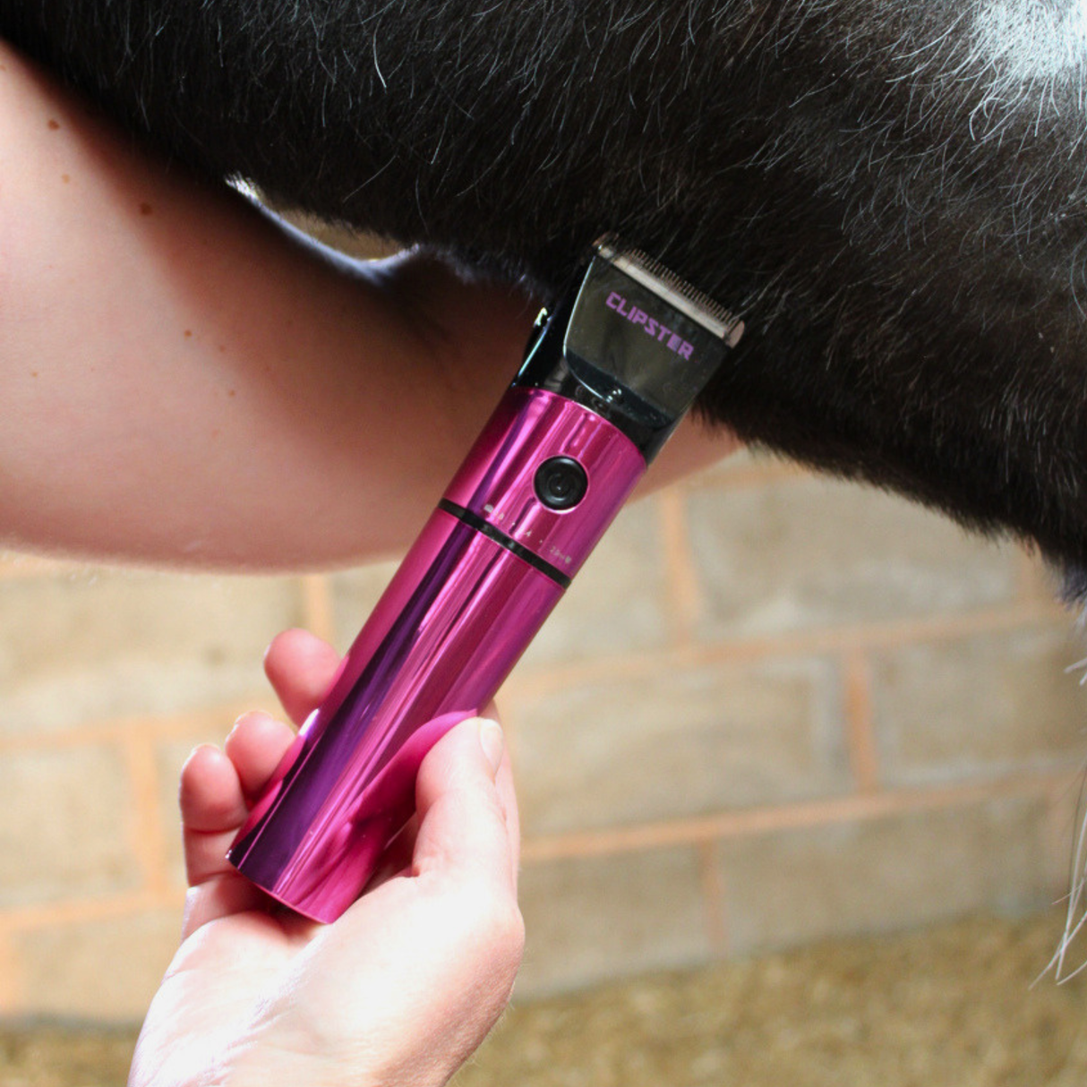 Tondeuse Clipster DeloX
