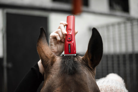 Liveryman Nova Trimmer