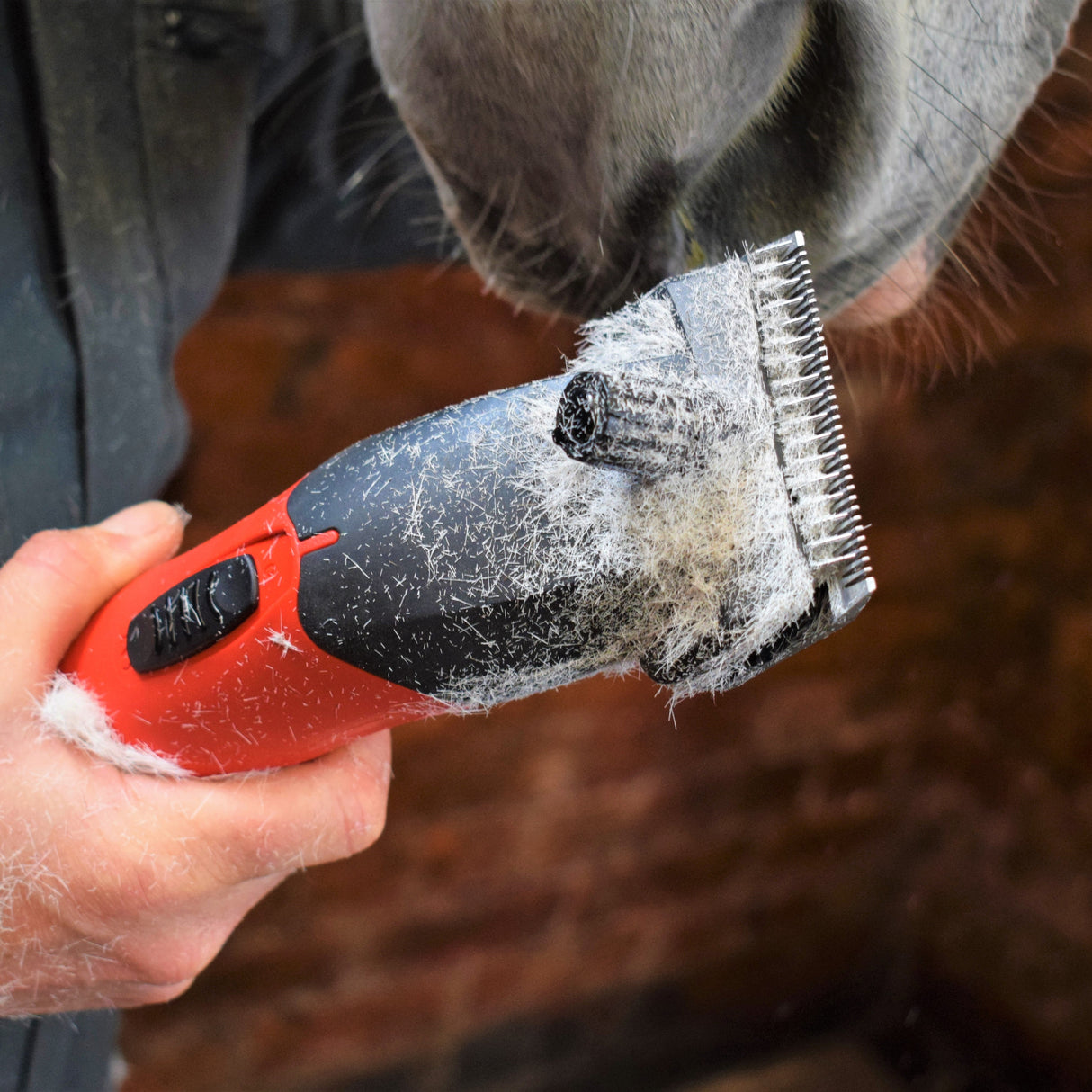 Lister Fusion Horse & Cattle Clipper – Dual Speed 360W Professional