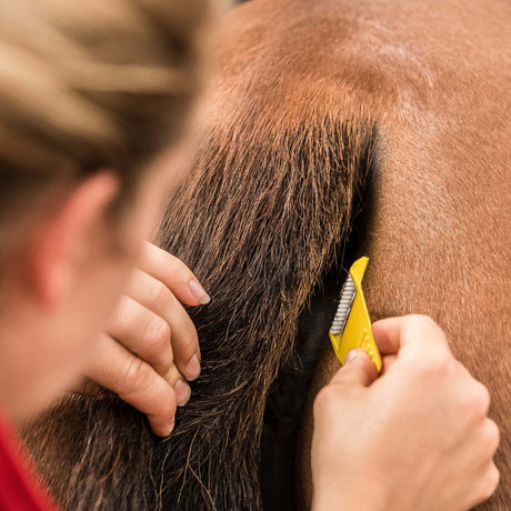 Equi-Shave