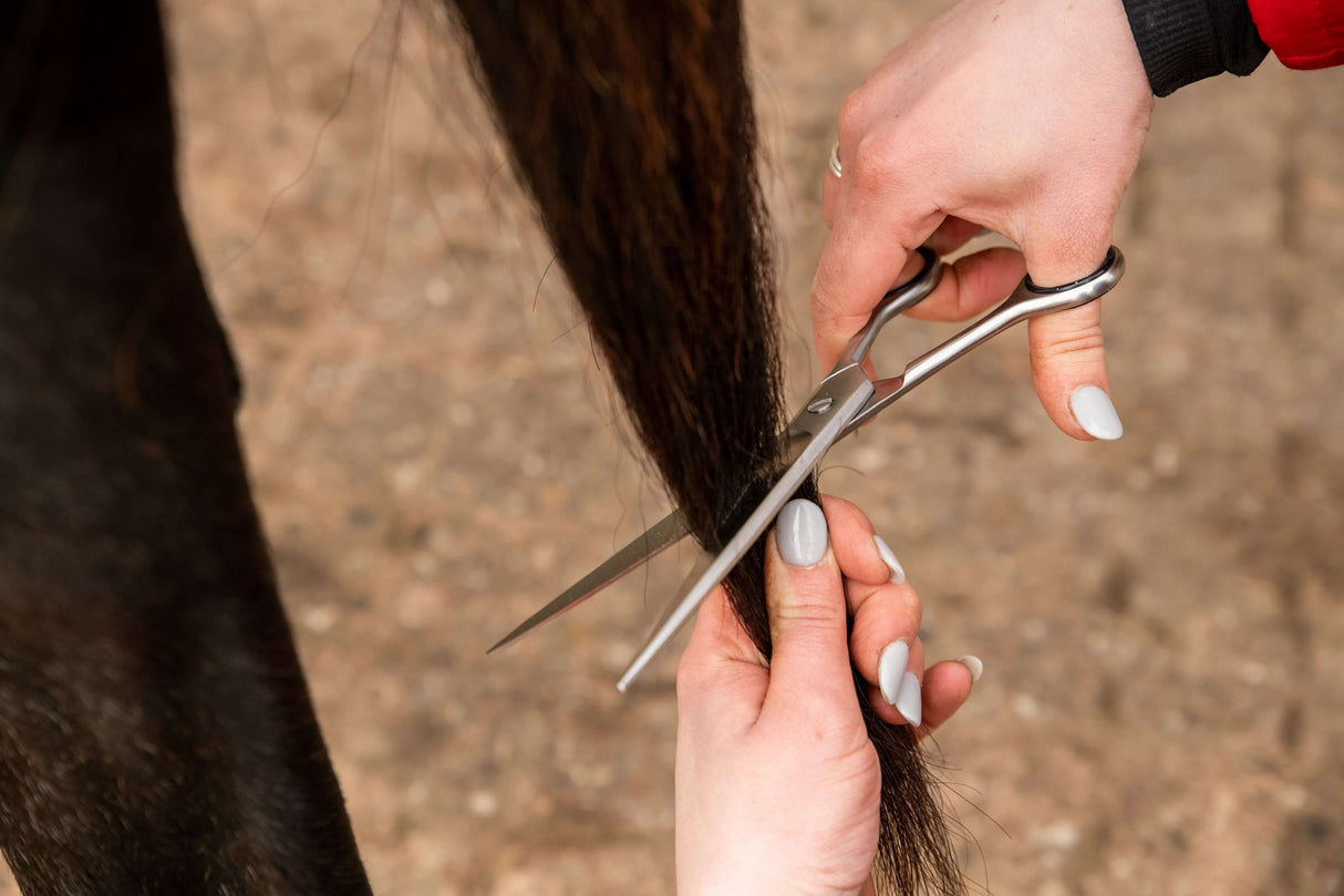 7.5"19cm Pointed Tail Scissors
