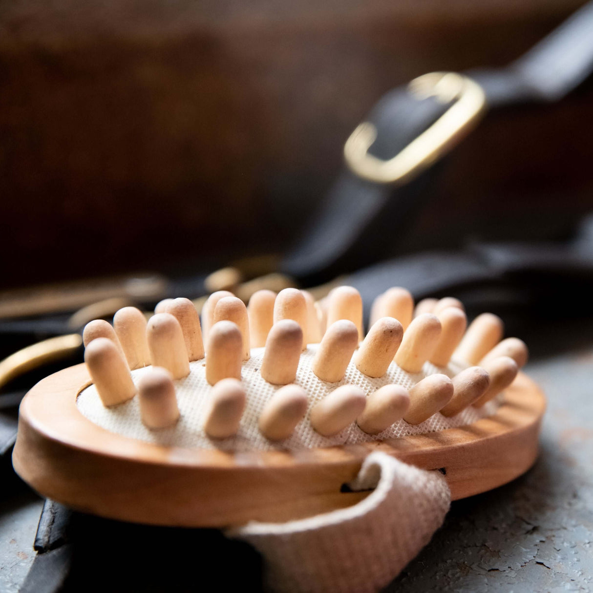 Borstiq Equine Massage Brush