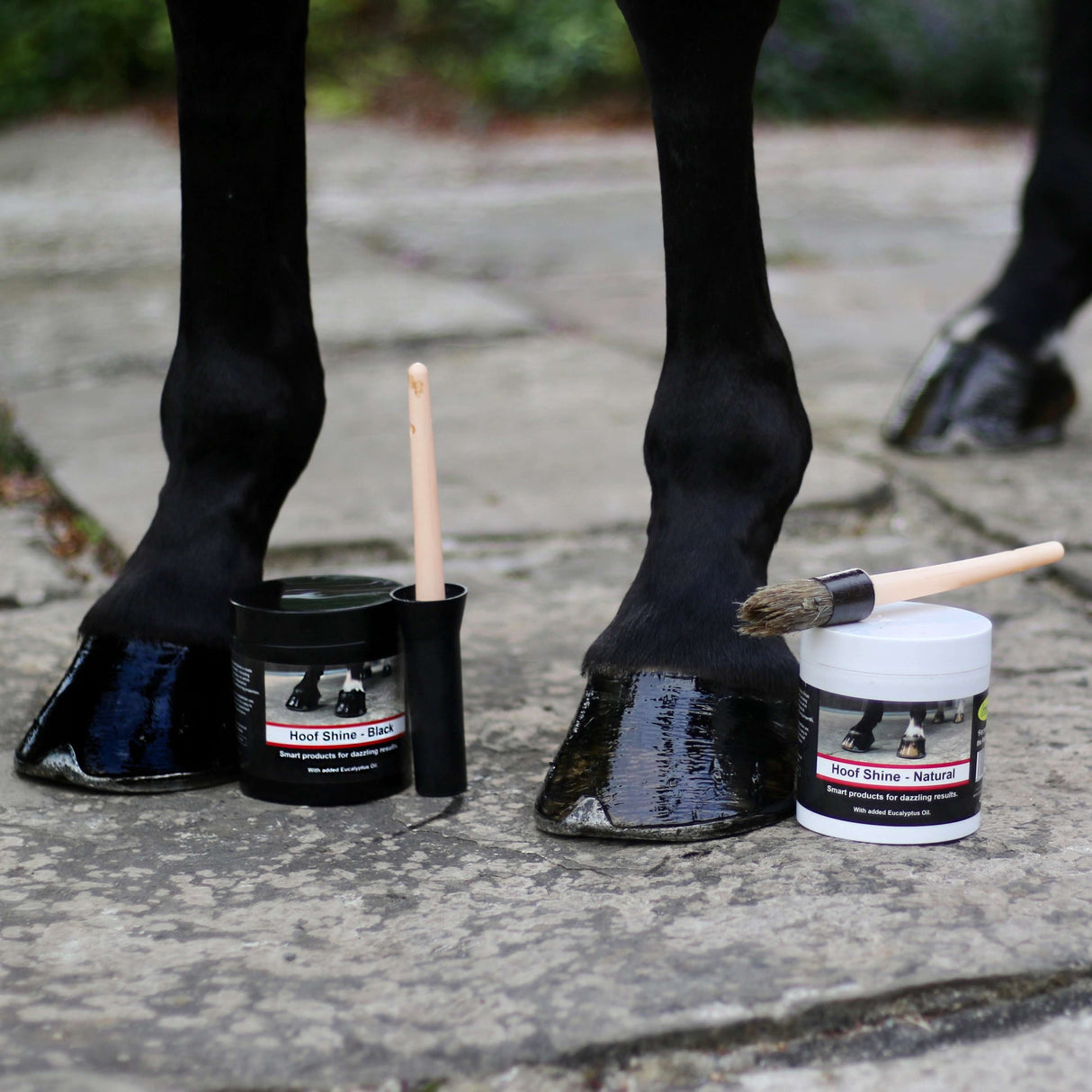 Hoof Shine