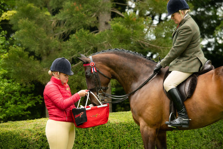 The Show Ring Basket