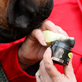 Smart Grooming - Make Up Sponge
