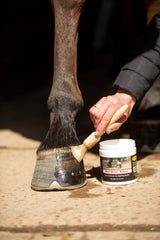 Hoof Shine