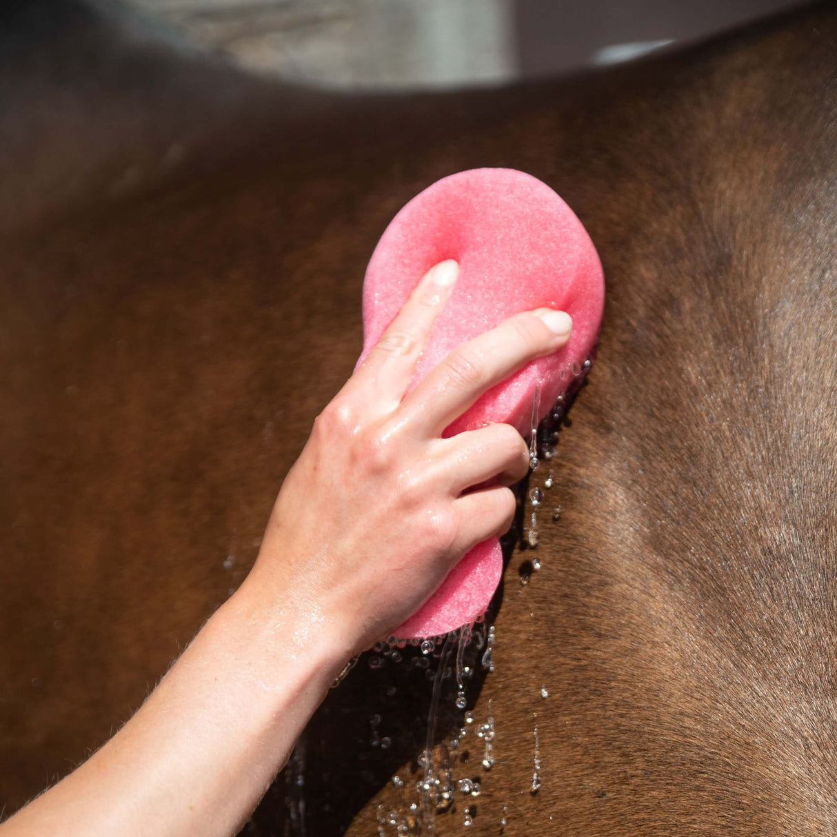 Smart Grooming - Jumbo Wash Sponge