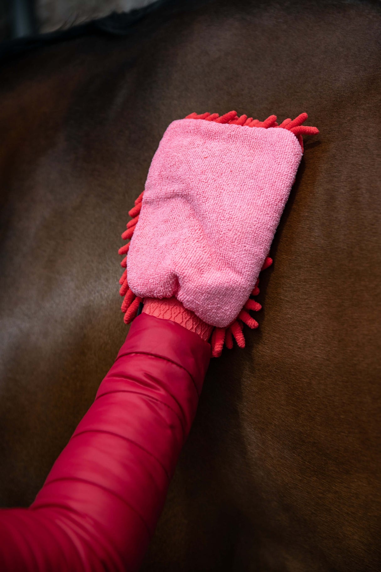 Microfibre Grooming Mitt