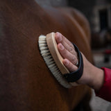 Traditional Body Brush