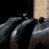 Smart Grooming Mane Grips