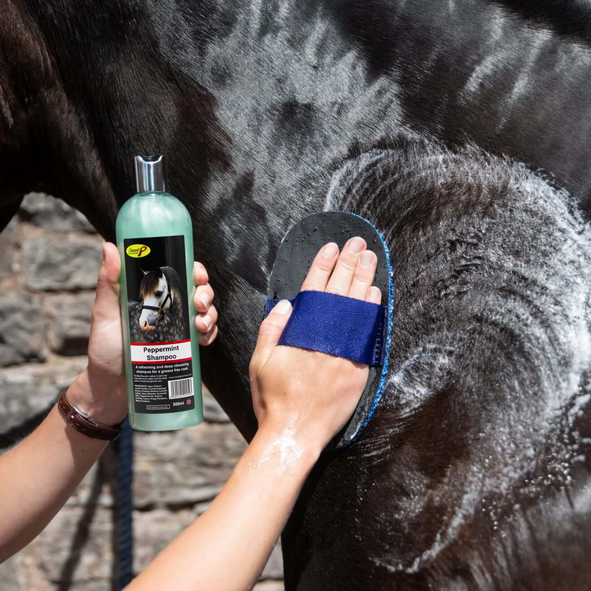 Shampooing à la menthe poivrée Smart Grooming