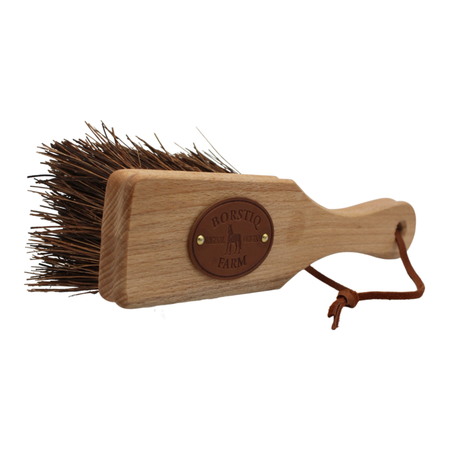 Borstiq Hoof & Bucket Scrub Brush