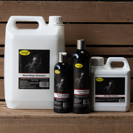Black Magic Shampoo