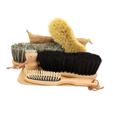 Borstiq Original Shaped Brush Kit