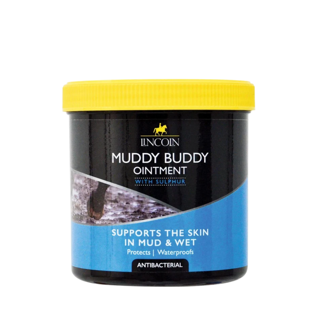 Lincoln Muddy Buddy Salbe